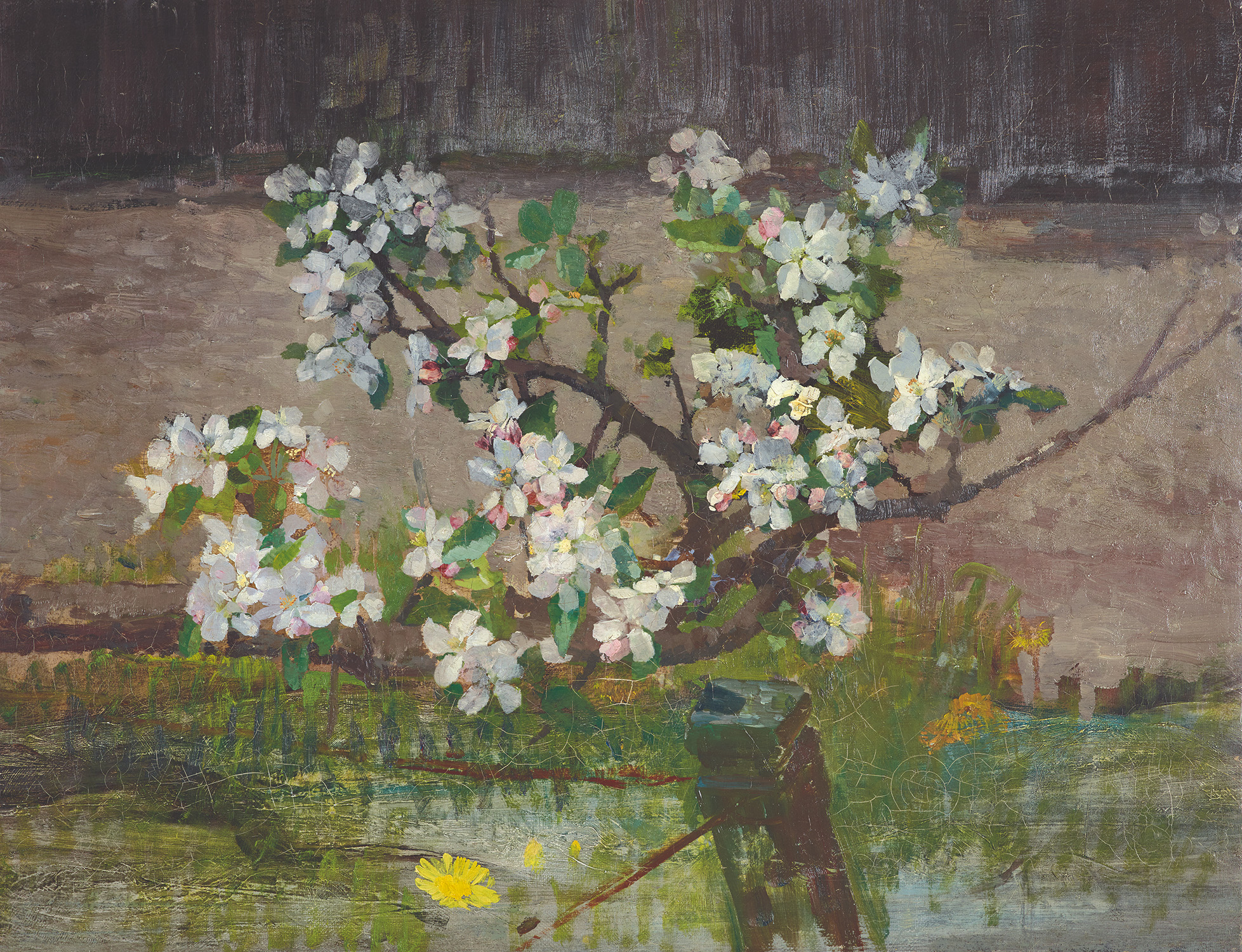 Painting from Tina Blau-Lang - Apfelblüten